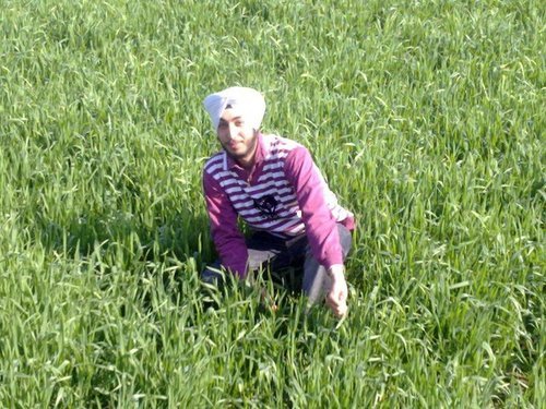 Harkiratsingh1's profile picture. i dun wonna rule d world bt wonna rule d person who rule d world...