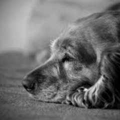 9UG7lMljsRMiVVa's profile picture. 