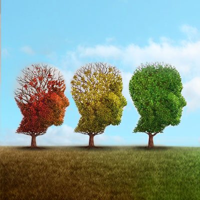 Twitter account for students studying K219