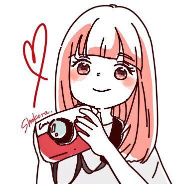 Shokoraさんのプロフィール画像