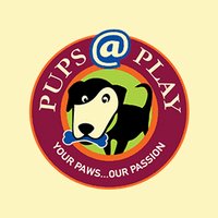 Pups@Play(@pupsatplay) 's Twitter Profile Photo