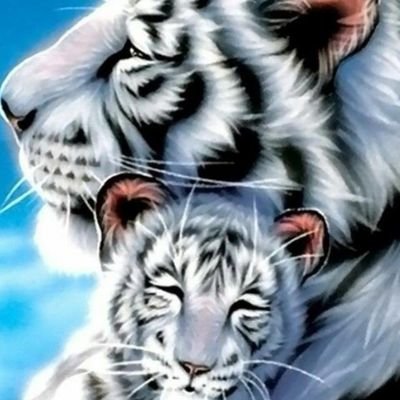 NMultifonction's profile picture. Melanie151293@gmail.com