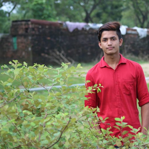 I am a student.........Besides I have SEO(Search Engine Optimization) work experience....... I am Professional SEO expert ….