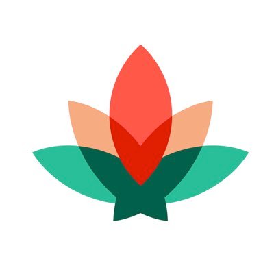 We exist for the curious out there , the outdoor savvy 🤸🏽♀️ We are a French 🇨🇦 cannabis brand • By following, you confirm you are 19+