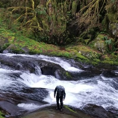 bitficus's profile picture. 🌲🚶‍♂️🌏🛸