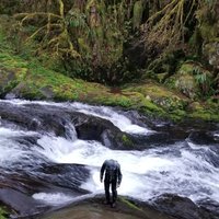 🌳🚶♂️🌎🛸 (@bitficus) 's Twitter Profile