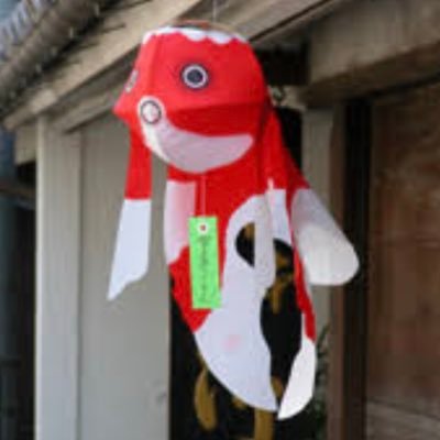 金魚に毎日癒されてます！  初心者なので知らないことばかりなので色々お勉強したいです！