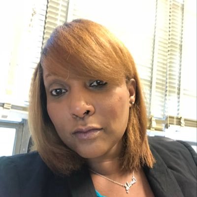 Professional School Counselor