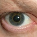 Rupert Fuller (@rupertfuller) Twitter profile photo