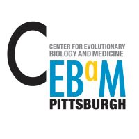CEBaM (@pitt_cebam) Twitter profile photo