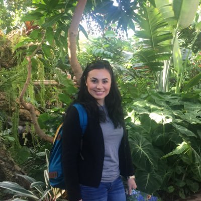 MrsAGarciaTeach's profile picture. 2nd Grade Dual Language