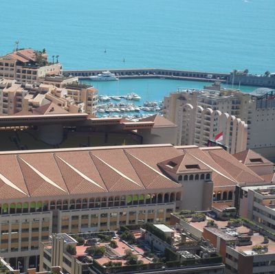 willtowil's profile picture. 