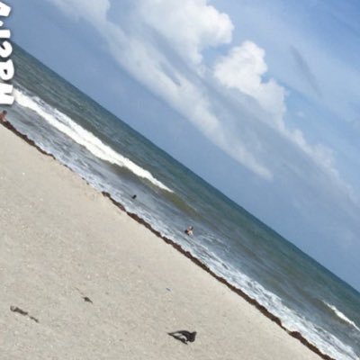 Alcoholic407's profile picture. MUSIC IS LIFE