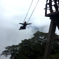 Jen Gower (@jensopa) 's Twitter Profile