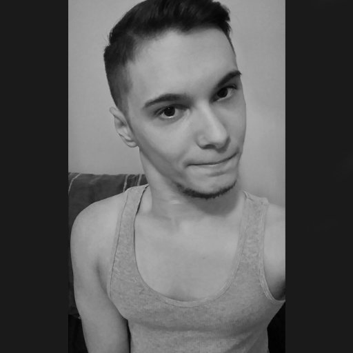 I'm a artist and a gamer, I love both. I stream League of Legends and DayZ. Wheelchair user straight out the womb.