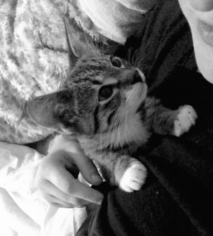 Txsunrise05's profile picture. 