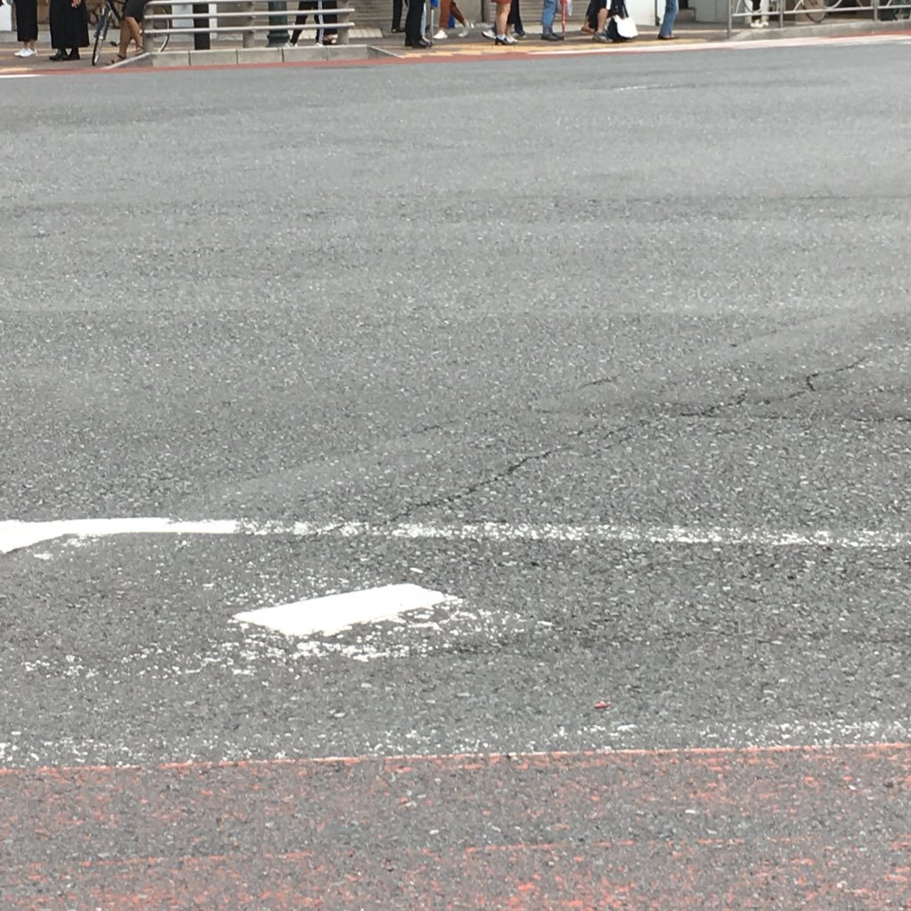 まどさんのプロフィール画像