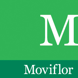 moviflorpt's profile picture. Alegria em sua casa!