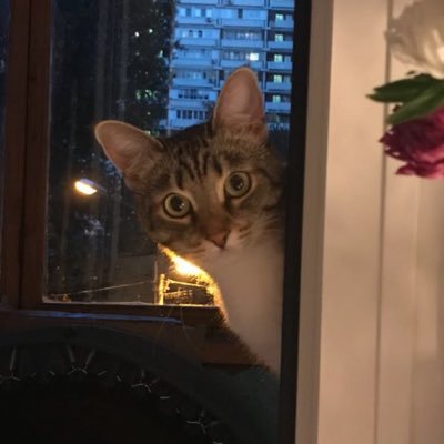 lxs791's profile picture. Coder