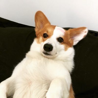 wonvisa_'s profile picture. 