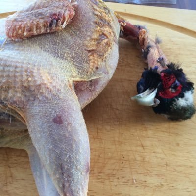 Adiroyle's profile picture. I didn’t get to where I am today without ruffling a few feathers...