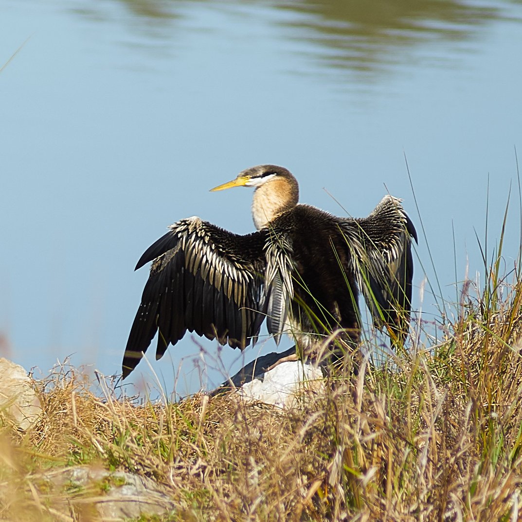 MJACphoto's profile picture. Aesthetics/Art is the highest and most noble axiom.
Happiness, human flourishing above all else and the end aim.