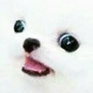 Nagasuku's profile picture. A guy that likes video games & stuff