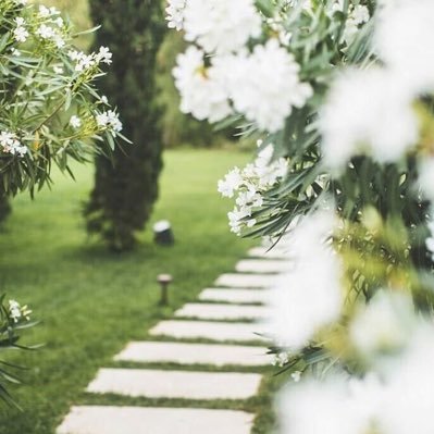 rhooomh44953's profile picture. لا إله إلا أنت سُبحانك إني كنت من الظالمين❤️