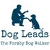 Dog Leads (@formbydogwalker) Twitter profile photo