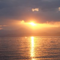 Judith Raupp (@judithraupp) 's Twitter Profile