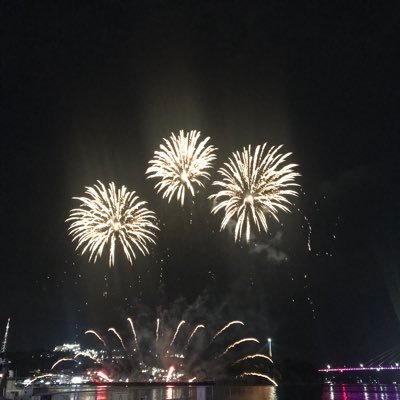 kim1do1's profile picture. 김하도하