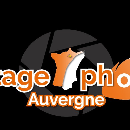 Stages et sorties photo au cœur de l'Auvergne !