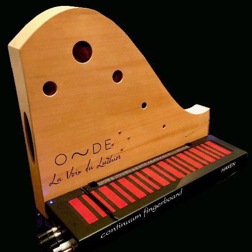 Give the sound of a luthier to your electronic instrument. Order now and save 10%