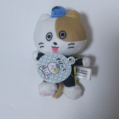 うにょぽいぬ🐈さんのプロフィール画像
