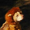 Beverly Ault - @AnaAlkie - Twitter