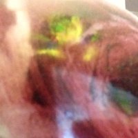 Nadine Stacy (@stacypilotstacy) 's Twitter Profile Photo Nadine Stacy (@stacypilotstacy) 's Twitter Profile Photo