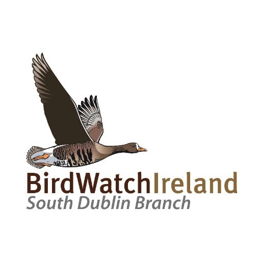 Official Twitter of the South Dublin branch of BirdWatch Ireland. 
Please see our website for all upcoming meetings and outings. Hope to see you there.