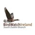 southdublinbirds (@BirdwatchDublin) Twitter profile photo