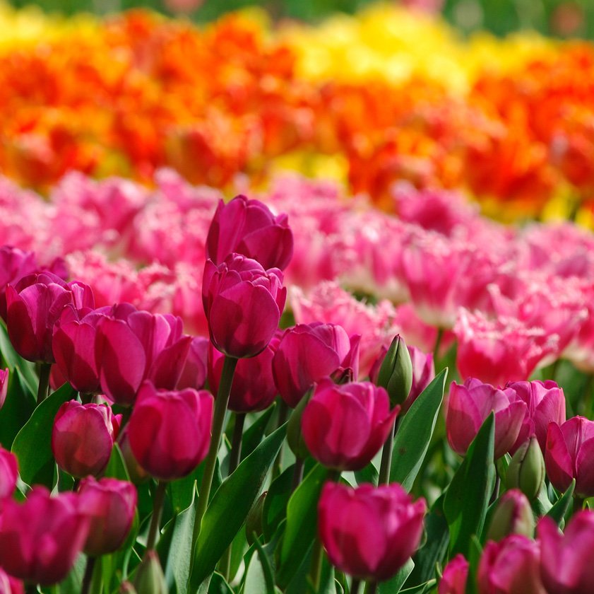 yutaka06748322's profile picture. 真実が知りたくて　RAPTブログへ