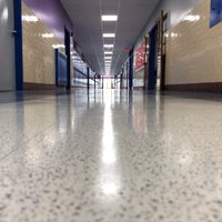 Elizabeth Hastings (@ehmsfairhaven) 's Twitter Profile