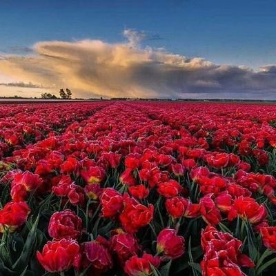 EIO78WfzZkIjjix's profile picture. 