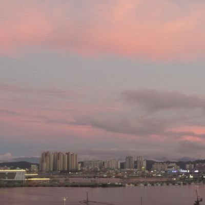 Grace_breeze's profile picture. 생각중..