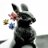 tioのアイコン