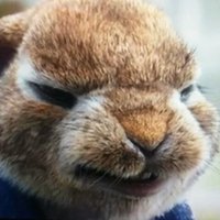Peter Rabbit (@mrrabbit731684) 's Twitter Profile