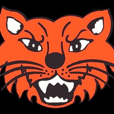 pilotpointbearcats.com Profile