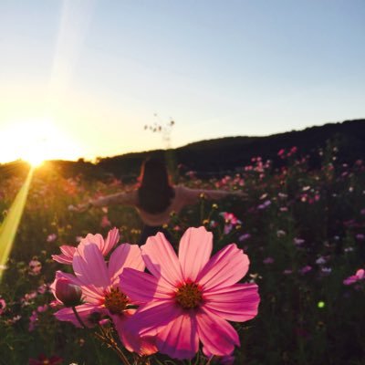 melinbou's profile picture. She/her