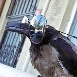 cawさんのプロフィール画像