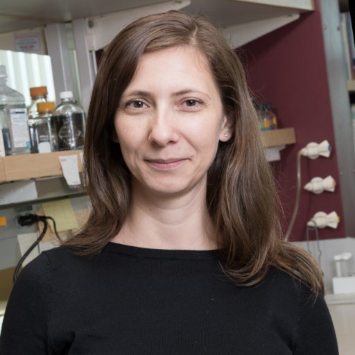 Assistant Prof at U of Washington, working on mitochondria, signaling, and metabolism.