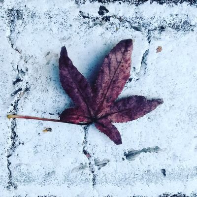 mar_beella's profile picture. El tiempo cambia... 🍃
