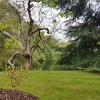 Dominic Williams (@domwilliams28) 's Twitter Profile